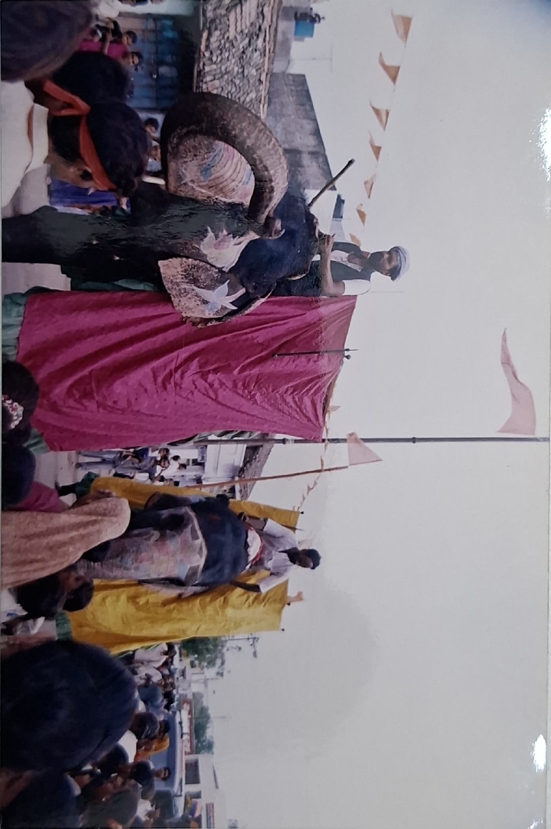 Gallery image 7